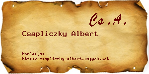 Csapliczky Albert névjegykártya